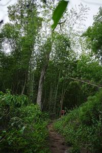 BIB: 
                            <button type="button" onclick="openModal(22242005)" class="btn btn-primary btn-sm float-right btn-popup" data-toggle="modal" data-target=".modal-high-quality">
                        <i class="fas fa-shopping-cart"></i> Add to Cart
                    </button>
                                            <button type="button" onclick="isThisMe(22242005, true)" class="btn btn-success btn-sm float-right btn-popup btn-isme hidden" data-toggle="tooltip" data-placement="bottom" title="นี่คือรูปของคุณใช่ไหม คลิกที่นี่เพื่อเอาเข้าอัลบั้ม">
                        <i class="fas fa-plus"></i> Add to album
                    </button>
                    <button type="button" onclick="isThisMe(22242005, false)" class="btn btn-warning btn-sm float-right btn-popup btn-isnotme hidden">
                        <i class="fas fa-ban"></i> Remove from album
                    </button>